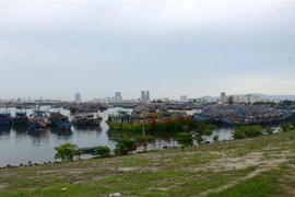 (Ảnh minh họa: Quốc Dũng/TTXVN)