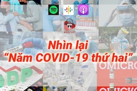 (Nguồn: Vietnam+)