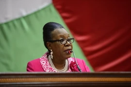 Trung Phi công bố danh sách nội các thời kỳ chuyển tiếp