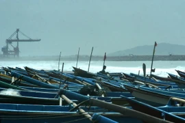 Động đất làm rung chuyển quần đảo South Sandwich