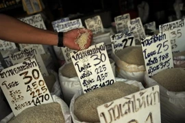 Gạo có đợt giảm giá hàng tuần lâu nhất kể từ năm 2008