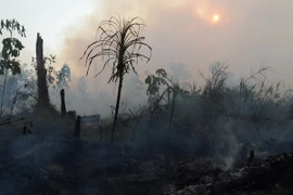Malaysia kêu gọi Indonesia phản ứng tức thời với vấn đề khói bụi