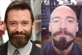 Hugh Jackman cạo đầu trọc lốc chuẩn bị cho vai diễn mới