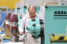 Đức lo ngại hoạt động do thám công nghiệp của Trung Quốc