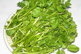 10 cách giải độc và trẻ hóa làn da đơn giản