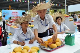 [Photo] Gần 200 loại quả đặc sản tại Lễ hội trái cây Nam Bộ