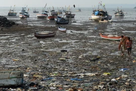 Thêm cảnh báo về rác thải chất dẻo trên các đại dương 