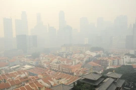 Biến đổi khí hậu có thể mang lại những cơ hội kinh doanh lớn