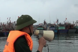 Thanh Hóa và Ninh Bình khẩn trương đối phó bão 14