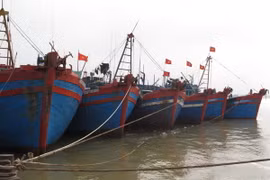 Các địa phương chạy đua chủ động phòng chống siêu bão