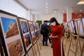 Khách tham quan triển lãm. (Ảnh: Hoàng Hiếu/Vietnam+)