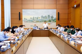Đoàn đại biểu Quốc hội các tỉnh Hà Tĩnh, Tuyên Quang và Hải Phòng thảo luận ở tổ. (Ảnh: Doãn Tấn/ TTXVN)