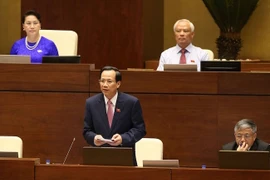 Bộ trưởng Bộ Lao động, Thương binh và Xã hội Đào Ngọc Dung trả lời chất vấn. (Ảnh: Doãn Tấn/TTXVN)