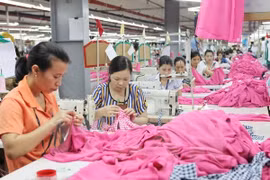 (Ảnh minh họa: Trần Việt/TTXVN)