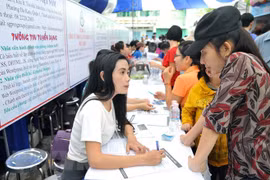 Tư vấn giới thiệu việc làm cho người lao động. (Ảnh minh họa: An Hiếu/TTXVN)