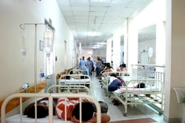 (Ảnh minh họa: Nguyễn Thanh/TTXVN)