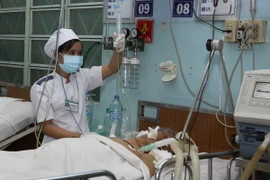 (Ảnh minh họa: Phương Vy/TTXVN)