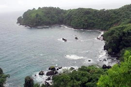 (Nguồn: mcclatchydc.com)