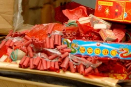 (Ảnh minh họa: Quang Quyết/TTXVN)