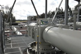 Ảnh minh họa. (Nguồn: THX/TTXVN)