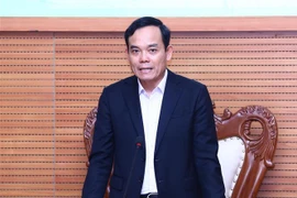 Phó Thủ tướng Trần Lưu Quang. (Ảnh: Lâm Khánh/TTXVN)