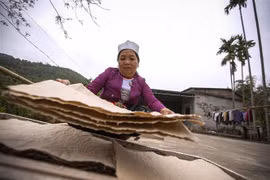 Bà Hoàng Thị Chi xóm Suối Cỏ, tham gia làm giấy Dó cùng gia đình ông Chúc cũng đã gần 20 năm, cẩn thật lật phơi những tờ giấy Dó thành phẩm. (Ảnh: Trọng Đạt/TTXVN)