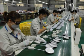 Dây chuyền lắp ráp đèn led. (Ảnh: Vũ Sinh/TTXVN)