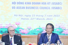 Trưởng Ban Kinh tế Trung ương Trần Tuấn Anh phát biểu tại toạ đàm. (Ảnh: Phương Hoa/TTXVN)