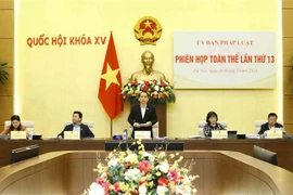Chủ nhiệm Ủy ban pháp luật của Quốc hội Hoàng Thanh Tùng phát biểu. (Ảnh: An Đăng/TTXVN)