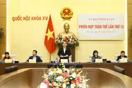 Chủ nhiệm Ủy ban pháp luật của Quốc hội Hoàng Thanh Tùng phát biểu. (Ảnh: An Đăng/TTXVN)