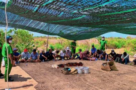 Các đối tượng tham gia đá gà ăn tiền cùng tang vật bị lực lượng Công an bắt quả tang. (Ảnh: TTXVN phát)