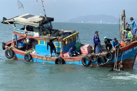 Lực lượng chức năng huy động hơn 100 nhân lực tham gia công tác tìm kiếm cứu nạn, tìm kiếm nạn nhân tử vong trong vụ chìm tàu trên vùng biển Cần Giờ. (Ảnh: TTXVN phát)