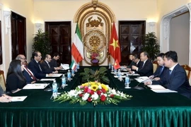 Thứ trưởng Bộ Ngoại giao Việt Nam Vũ Hồng Nam và Trợ lý Bộ trưởng Ngoại giao Kuwait Ali Suleiman Al-Saeed đồng chủ trì Tham vấn chính trị lần thứ 3 Việt Nam-Kuwait. (Ảnh: TTXVN phát)