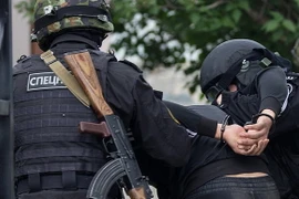 Ảnh chỉ có tính minh họa. (Nguồn: RT/TTXVN)