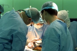 Ảnh chỉ có tính minh họa. (Ảnh: Phương Vy/TTXVN)