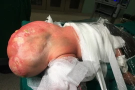 Ảnh chỉ có tính minh họa. (Ảnh: Phương Vy/TTXVN)