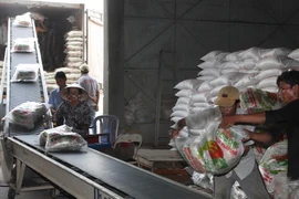 Vận chuyển gạo xuất khẩu tại Xí nghiệp Chế biến lương thực cao cấp Tân Túc (huyện Bình Chánh, TP.HCM). (Ảnh: Đình Huệ/TTXVN)