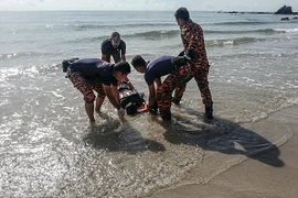 Ảnh chỉ có tính minh họa. (Nguồn: AFP) 