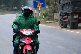 Ảnh chỉ có tính minh họa. (Ảnh: Văn DũngTTXVN)