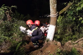 Ảnh chỉ có tính minh họa. (Ảnh: Hương Thu/TTXVN)