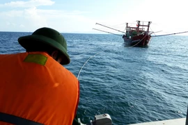 Ảnh chỉ có tính minh họa. (Ảnh: Võ Dung/TTXVN)