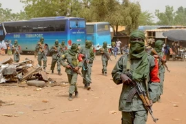 Binh sỹ Mali tuần tra tại Gao, miền Bắc Mali. (Nguồn: AFP/TTXVN)