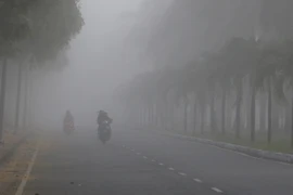 Ảnh chỉ có tính minh họa. (Ảnh: Duy Khương/TTXVN)