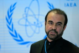 Đại diện thường trực Iran tại IAEA Reza Najafi. (Nguồn: AFP/TTXVN)