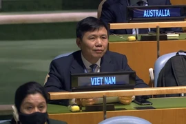 Việt Nam ủng hộ Hội đồng Bảo an tăng cường hợp tác với Tòa án Quốc tế 