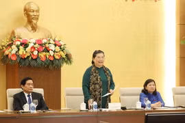 Phó Chủ tịch Thường trực Quốc hội Tòng Thị Phóng phát biểu tại buổi gặp mặt. (Ảnh: Phương Hoa/TTXVN)