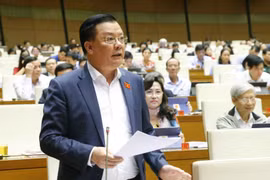 Bộ trưởng Bộ Tài chính Đinh Tiến Dũng trả lời chất vấn của các đại biểu Quốc hội. (Ảnh: Doãn Tấn/TTXVN)