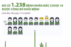 Đã có 1.238 bệnh nhân mắc COVID-19 được công bố khỏi bệnh
