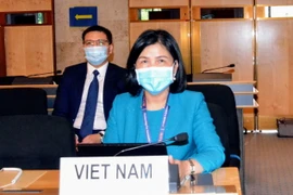 Đại sứ Lê Thị Tuyết Mai, Trưởng Phái đoàn thường trực Việt Nam. (Ảnh: Xuân Hoàng/TTXVN)