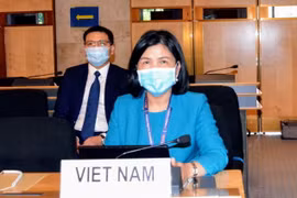 Đại sứ Lê Thị Tuyết Mai, Trưởng Phái đoàn thường trực Việt Nam. (Ảnh: Xuân Hoàng/TTXVN)
